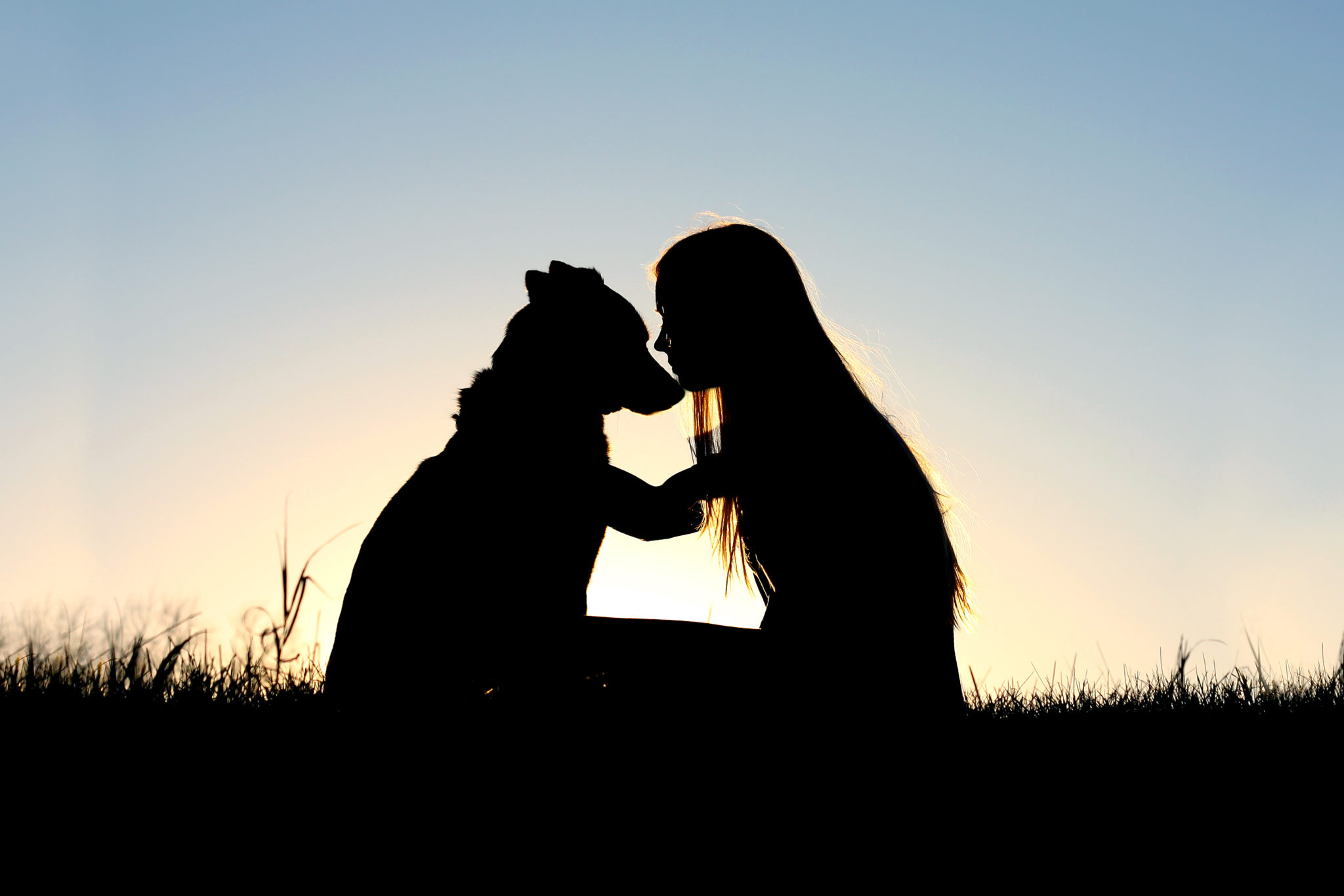 silhouette of young woman petting dog