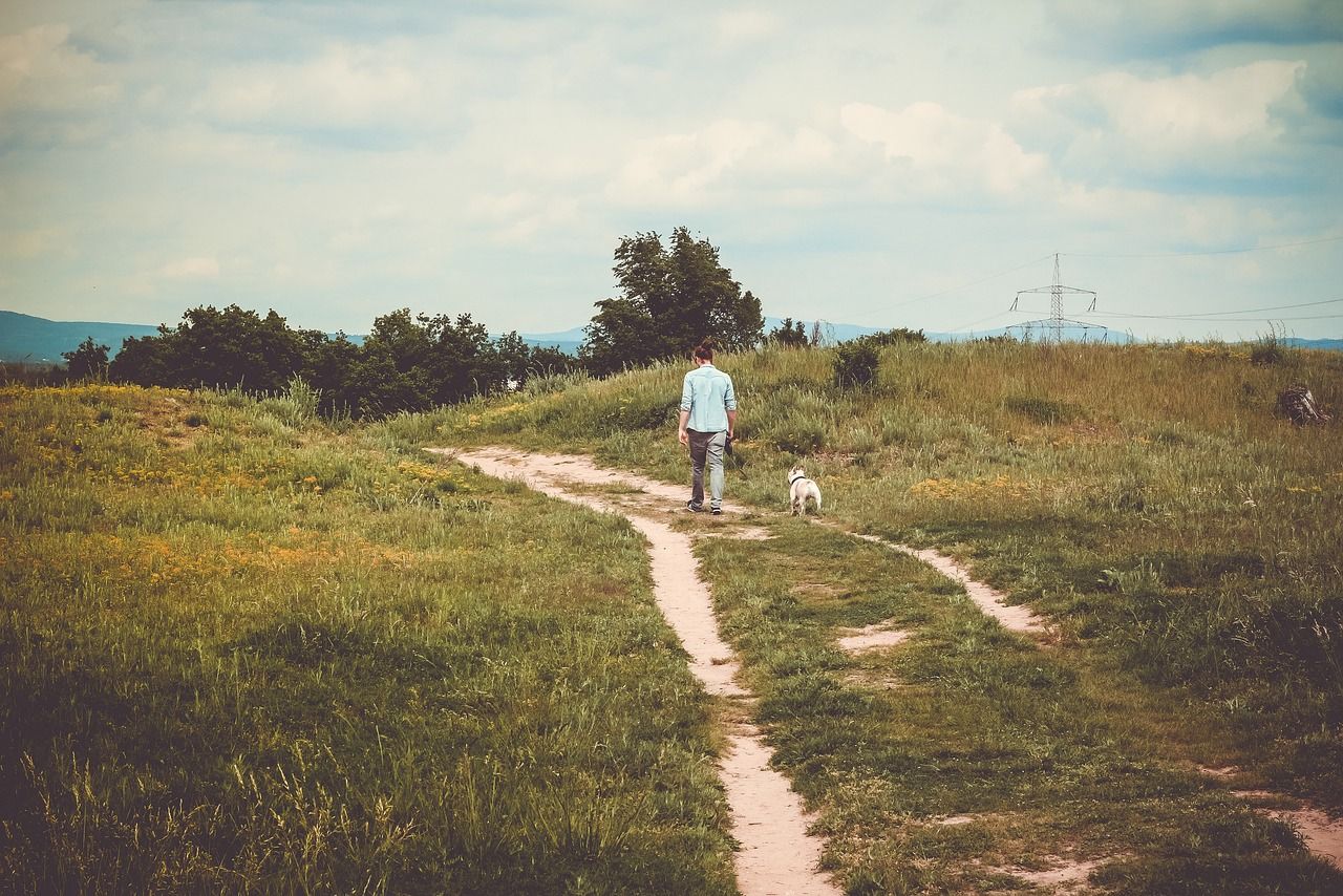 woman walking dog on path