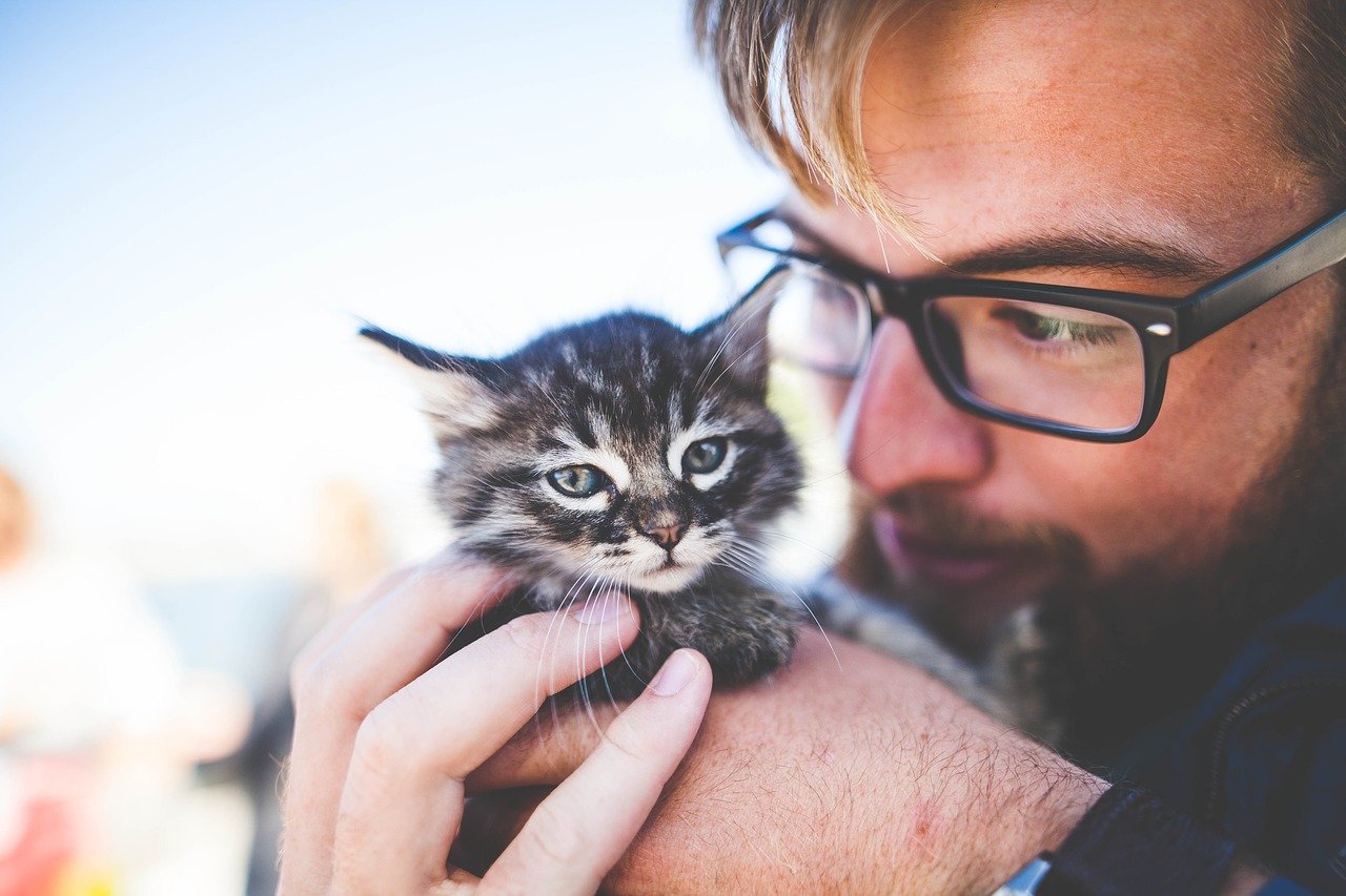 man in glasses holding kitten