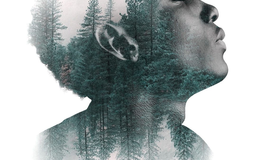 image of a person's face with scene from a forest overlayed