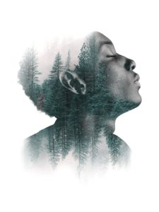 artistic illustration of face with forest