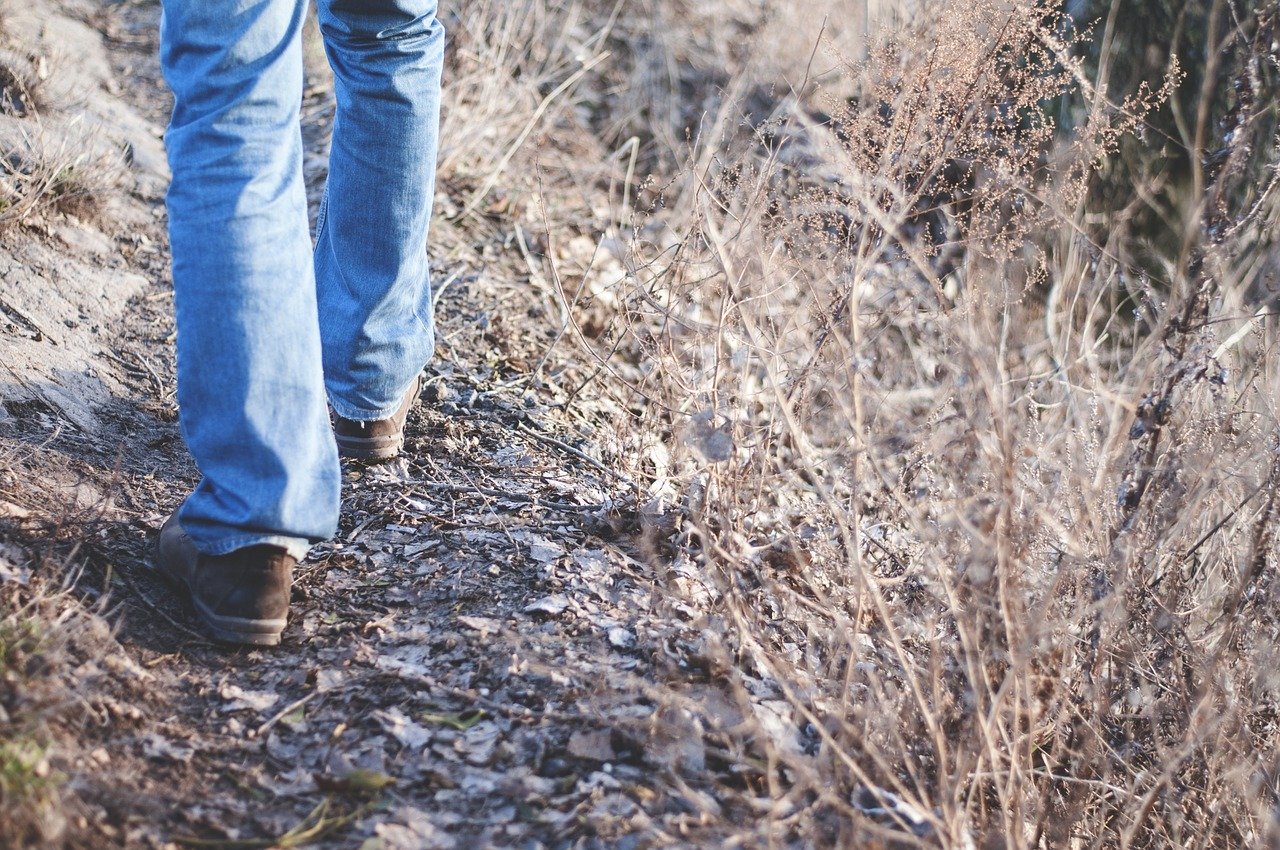 Legs of person in jeans and hiking boots walking on a trail.