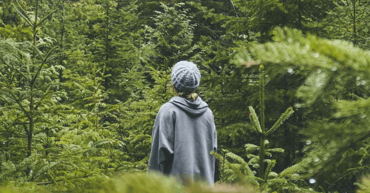 Tending Our Wild Souls as Acts of Resistance and Culture Creation